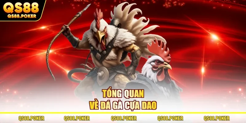 Đá Gà Cựa Dao | Mãn Nhãn Với Hình Thức Chọi Kê Gay Cấn #1 1 Tổng quan về đá gà cựa dao